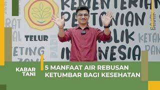 5 Manfaat Air Rebusan Ketumbar (Coriandrum Sativum) bagi Kesehatan