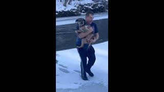 Raw video: Vermont man rescues dog from freezing river in Barre