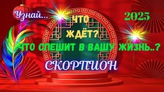 СКОРПИОН2025 - ЧЕГО ЖДАТЬ⁉️КАК ИЗМЕНИТСЯ ВАША ЖИЗНЬAstro Ispirazione