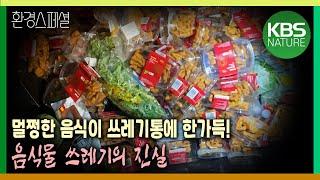 달걀 1개만 깨져도 한 판이 통째로 쓰레기통으로! 음식물 쓰레기의 진실  [2021-2022 UHD환경스페셜 38편 먹다 버릴 지구는 없다] / KBS 20220310 방송