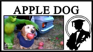 Apple Dog AI Clips Are Insane