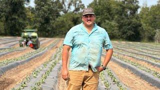 Planting Strawberries for the 2024 Season!