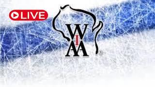 LIVE: New Richmond vs Neenah/Hortonville/Menasha | 2024 WIAA Boys Hockey