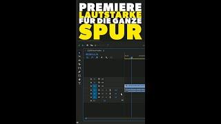 Premiere Pro: Lautstärke anpassen