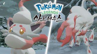 [공식] 「Pokémon LEGENDS 아르세우스」 최신 정보 제2탄 "히스이의 모습의 조로아・조로아크"편