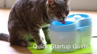 Cat H2O Quick Startup