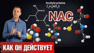 NAC (АЦЦ) повышает выработку глутатиона – важного антиоксиданта