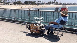 WEDNESDAY ON THE PIER WITH SHAKAS AND ALOHAS