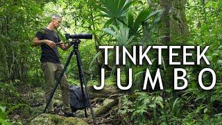 Tinkteek JUMBO Carbon Stativ | ausgiebiger Test im Dschungel von Mexiko | Deutsch