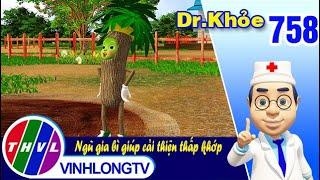 Dr. Khỏe - Tập 758: Ngũ gia bì giúp cải thiện thấp khớp