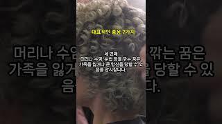 대표적인 흉몽 7가지