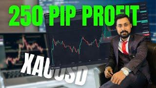 240 PIP PROFIT IN XAUUSD || Gold trading In India || Forex Trading In India For Bginners