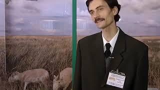 Степные антилопы – сайгаки. Из экспозиции музея. Артефакт. Городской портал Ростовлайф . 2018.г.
