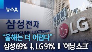 삼성 69% ↓, LG 91% ↓ ‘어닝 쇼크’…“올해는 더 어렵다” | 뉴스A