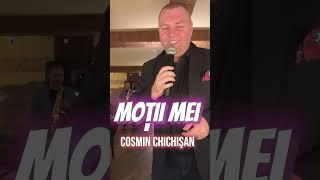 Cosmin Chichisan - Motii mei cover Ionut Langa