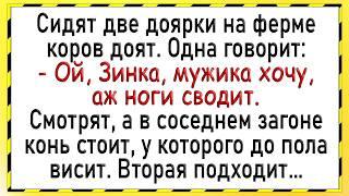 Как две доярки с конем развлекались! Сборник свежих анекдотов! Юмор!