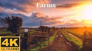 4K Farms Relaxing & Meditating Music Video  #Relax #Meditate #Farm #4K