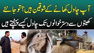 Basmati Rice Kin Process Se Guzar Kar Market Tak Pohanchty? Complete Process Of Rice Cultivation