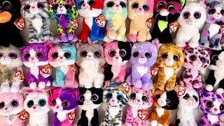 My Beanie Boo Cat Collection!