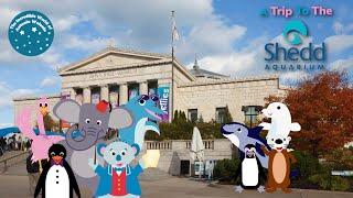 Antonio Wolanin - A Trip to the Shedd Aquarium