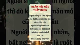 Chăm Sóc Sức Khỏe Toàn Diện – Kiến Thức Dinh Dưỡng  Lối Sống Lành Mạnh | Cộng Đồng Sức Khỏe #suckhoe