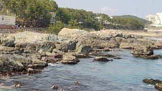 Gijang Beach Yonggungsa Temple in Busan, South Korea