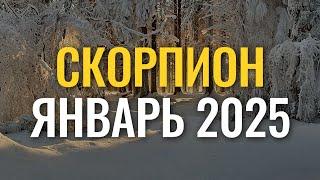 Что ждет Скорпионов в январе-2025? Гороскоп для знака Скорпион