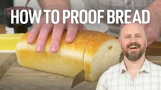 How to Proof Bread Like a Pro Baker