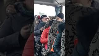 Насиба жалеп еркеке жабысканы