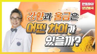 강황과 울금은 어떤 차이가 있을까? - 한동하의 생생별곡