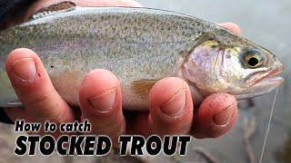 How to catch stocked rainbow trout with worms, powerbait & maggots