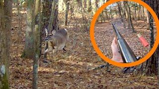 12 Deer Almost RUN ME OVER!! | 6 Kills On Cam!!