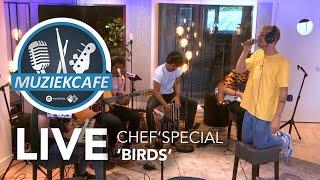 Chef'Special - 'Birds' live bij Muziekcafé