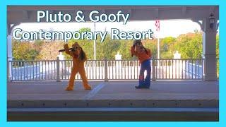 Magical Moment with Goofy and Pluto at the Contemporary!