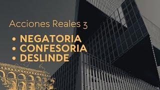 Acciones reales 3 - Negatoria, Confesoria y Deslinde