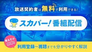 【スカパー！番組配信】見るだけ簡単！利用登録～視聴までを分かりやすく解説