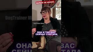 Как собаки считывают людей  #dogtrainer #dogcoach #собака #dog #собака #кинолог #дрессировка