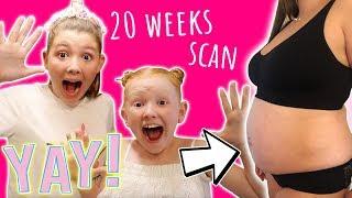 AMAZING NEWS AT OUR 20 WEEK PREGNANCY SCAN!