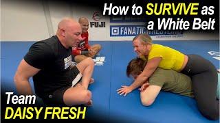 HOW to SURVIVE as a WHITE BELT in Brazilian Jiu Jitsu by Heath Pedigo