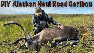 DIY Alaskan Haul Road Caribou Hunt 2023