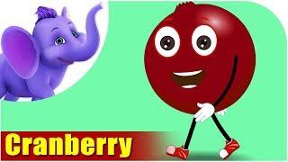 Cranberry - Fruit Rhyme in Ultra HD (4K)