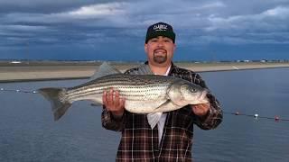 California Aqueduct Fishing 34 1/2 Inches 17.7lbs Big Striped Bass