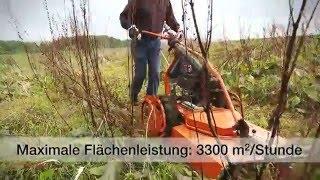 AS-Motor AS 65 Allmäher Hochgrasmäher Wiesenmäher im Einsatz