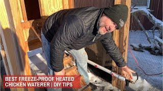 Best Heated Chicken Waterer| DIY Tips| Troubleshooting Instructions