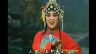 河南曲劇《王小趕腳》選段 【梨園組】