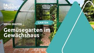 Gewächshaus kaufen: Standort und Anbau von Gemüse I BAUEN & WOHNEN