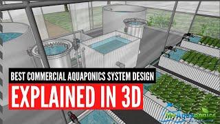 The Best Commercial Aquaponics System Design explained in 3D : 2020