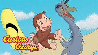 Curious George  George's Safari Adventure  Kids Cartoon  Kids Movies