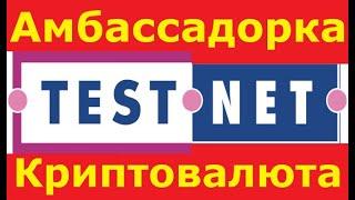 TestNet и Амбассадорская Программа от Zecrey Protocol! Зарабатываем Криптовалюту Без Вложений!