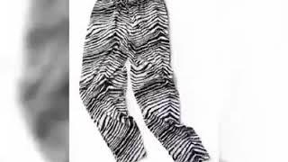 ALL ABOUT ZEBRA